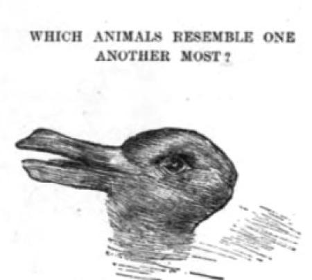 Profile picture for user aloe_x@univ-rennes2.fr