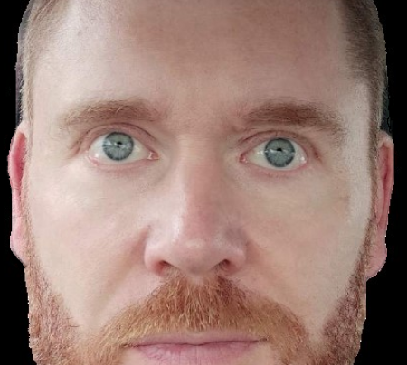 Profile picture for user lepaven@univ-brest.fr